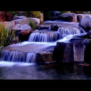 Meet your Posher, Alexus